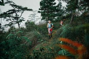 BIB: 
                            <button type="button" onclick="openModal(25257947)" class="btn btn-primary btn-sm float-right btn-popup" data-toggle="modal" data-target=".modal-high-quality">
                        <i class="fas fa-shopping-cart"></i> Add to Cart
                    </button>
                                            <button type="button" onclick="isThisMe(25257947, true)" class="btn btn-success btn-sm float-right btn-popup btn-isme hidden" data-toggle="tooltip" data-placement="bottom" title="นี่คือรูปของคุณใช่ไหม คลิกที่นี่เพื่อเอาเข้าอัลบั้ม">
                        <i class="fas fa-plus"></i> Add to album
                    </button>
                    <button type="button" onclick="isThisMe(25257947, false)" class="btn btn-warning btn-sm float-right btn-popup btn-isnotme hidden">
                        <i class="fas fa-ban"></i> Remove from album
                    </button>